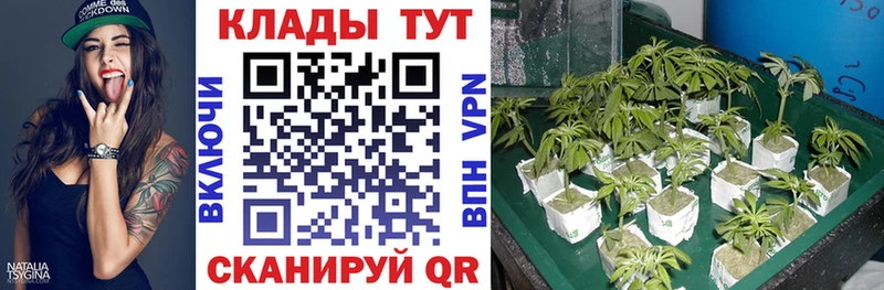 Канабис Соликамск