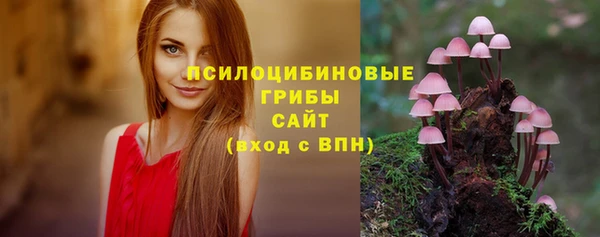 Альфа ПВП Балахна