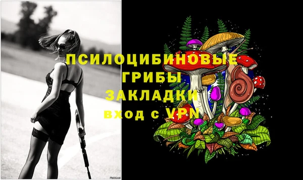 ECSTASY Няндома
